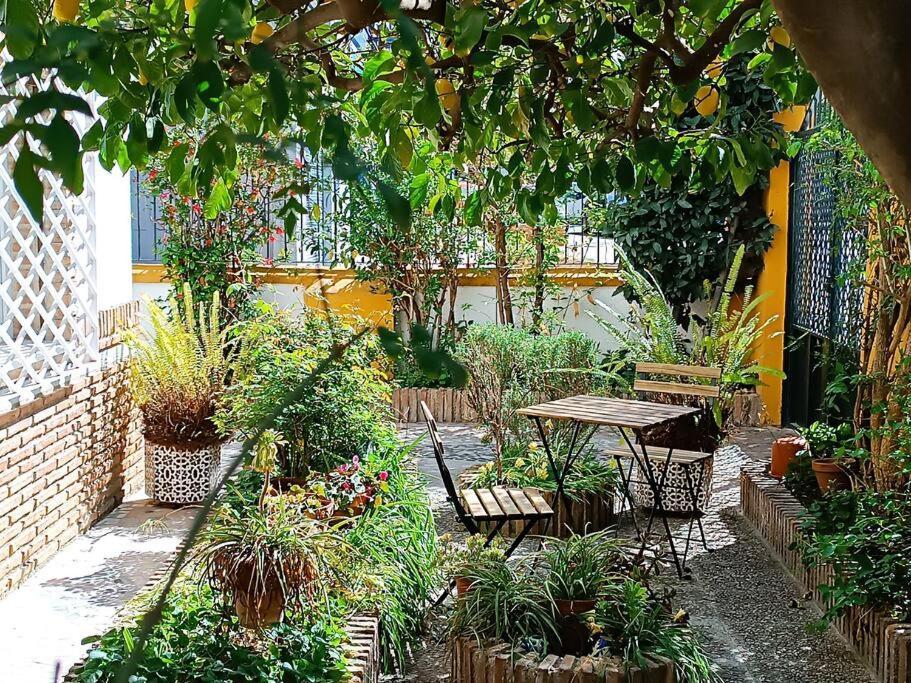 Casa Limonero Con Parking Gratis Junto A Centro Historico Villa Granada Eksteriør bilde