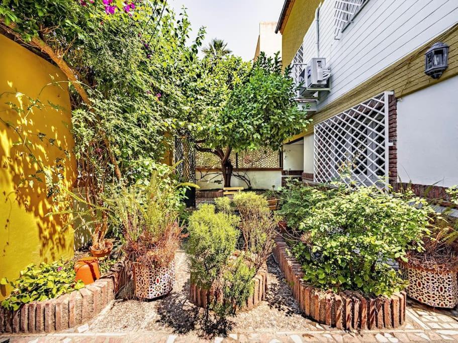Casa Limonero Con Parking Gratis Junto A Centro Historico Villa Granada Eksteriør bilde