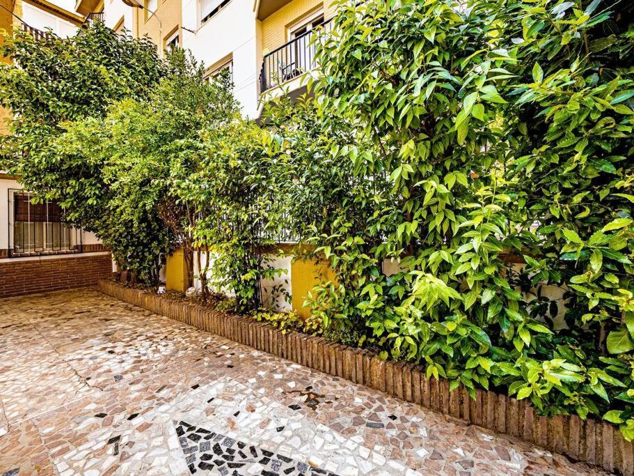 Casa Limonero Con Parking Gratis Junto A Centro Historico Villa Granada Eksteriør bilde